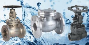 Variety of Valves by Top Valve Manufacturers in Ahmedabad