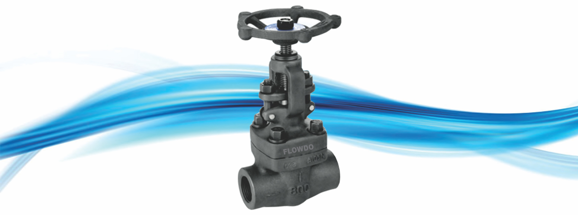 Forged Steel Globe Valve Manufacturer