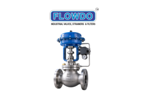 The Flow Equation Shaping Globe Control Valve Manufacturers in India